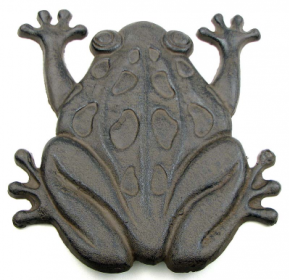 Frog Pathway Stepping Stone