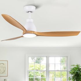 52 inch Outdoor/Indoor LED Ceiling Fan