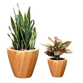 2-Pack 10" Light Wood Plastic Self-watering Planter Pot